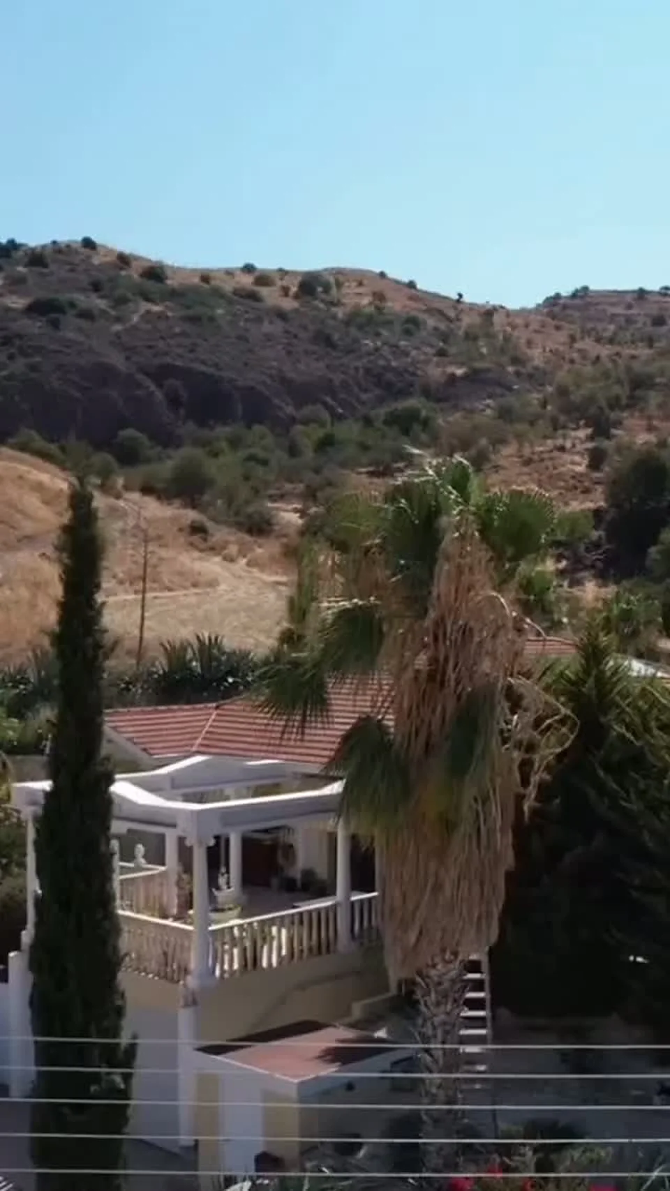 A palm tree in a Peyia garden, above white terraces