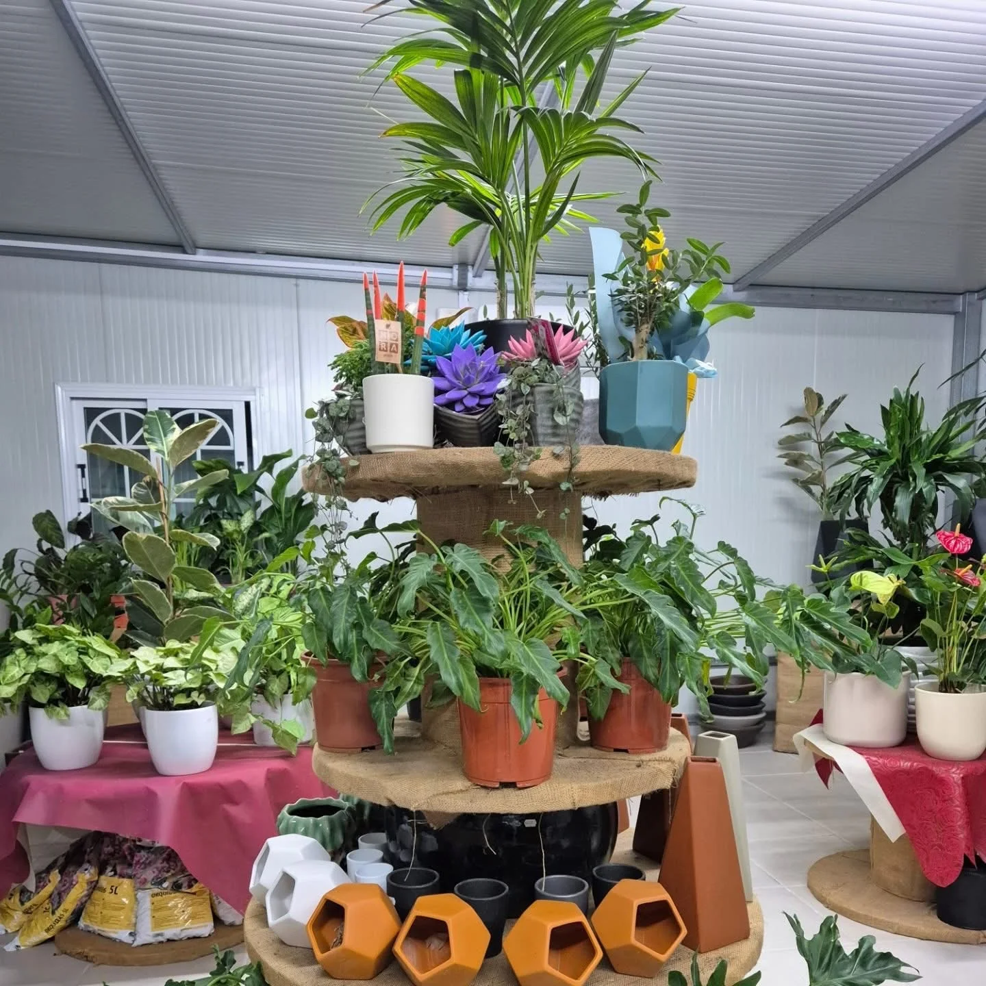 Plants, flowers and pots inside the Mr. Garden shop